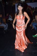 at Designer Aarti Vijay Gupta showcases collection in Rude Lounge on 30th Jan 2012 (3).JPG